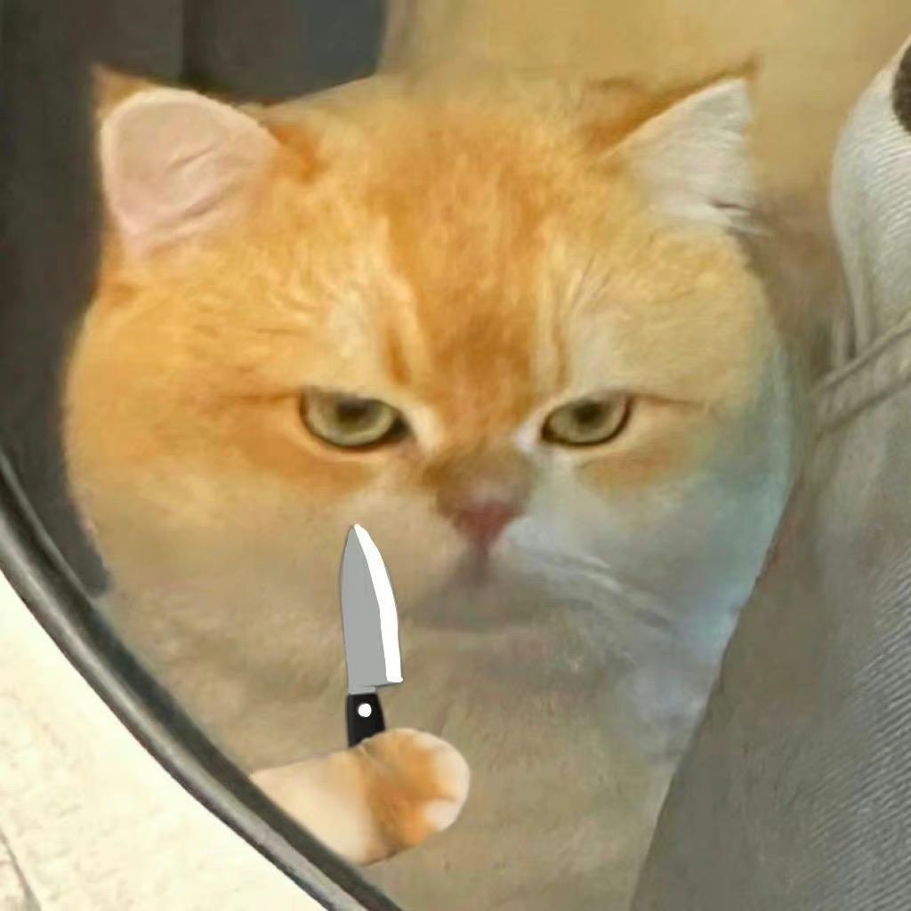 痘痘d