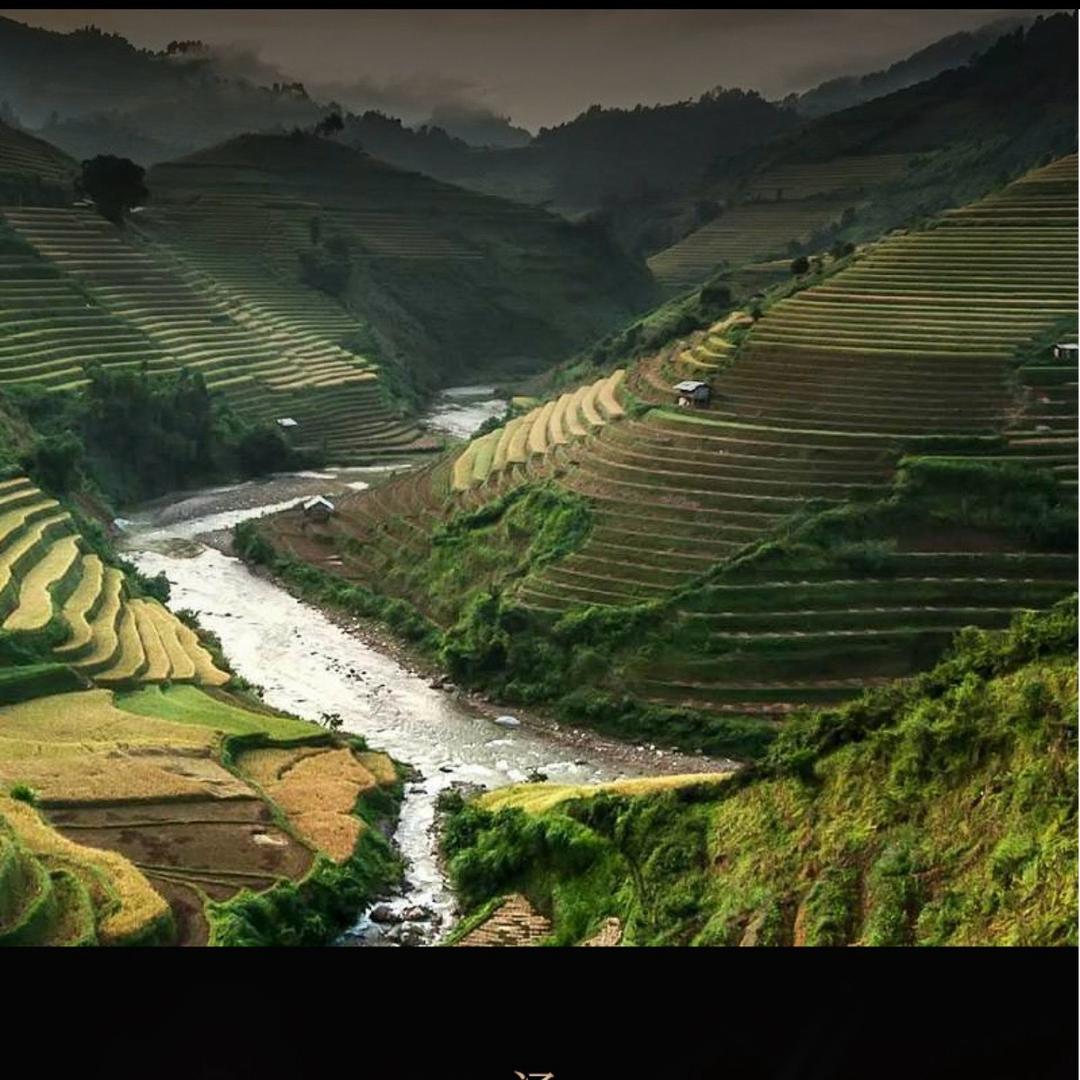 清怡阁茶叶经营部