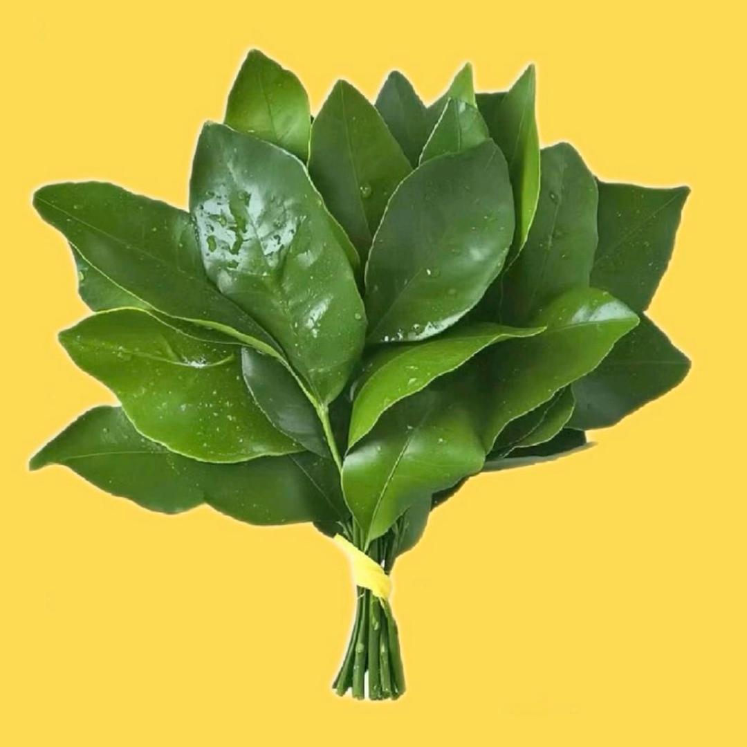 张百万.