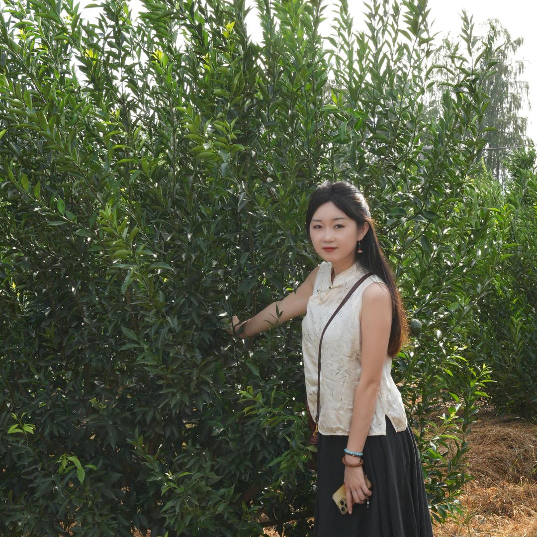 我在济南卖陈皮