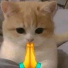 INoik