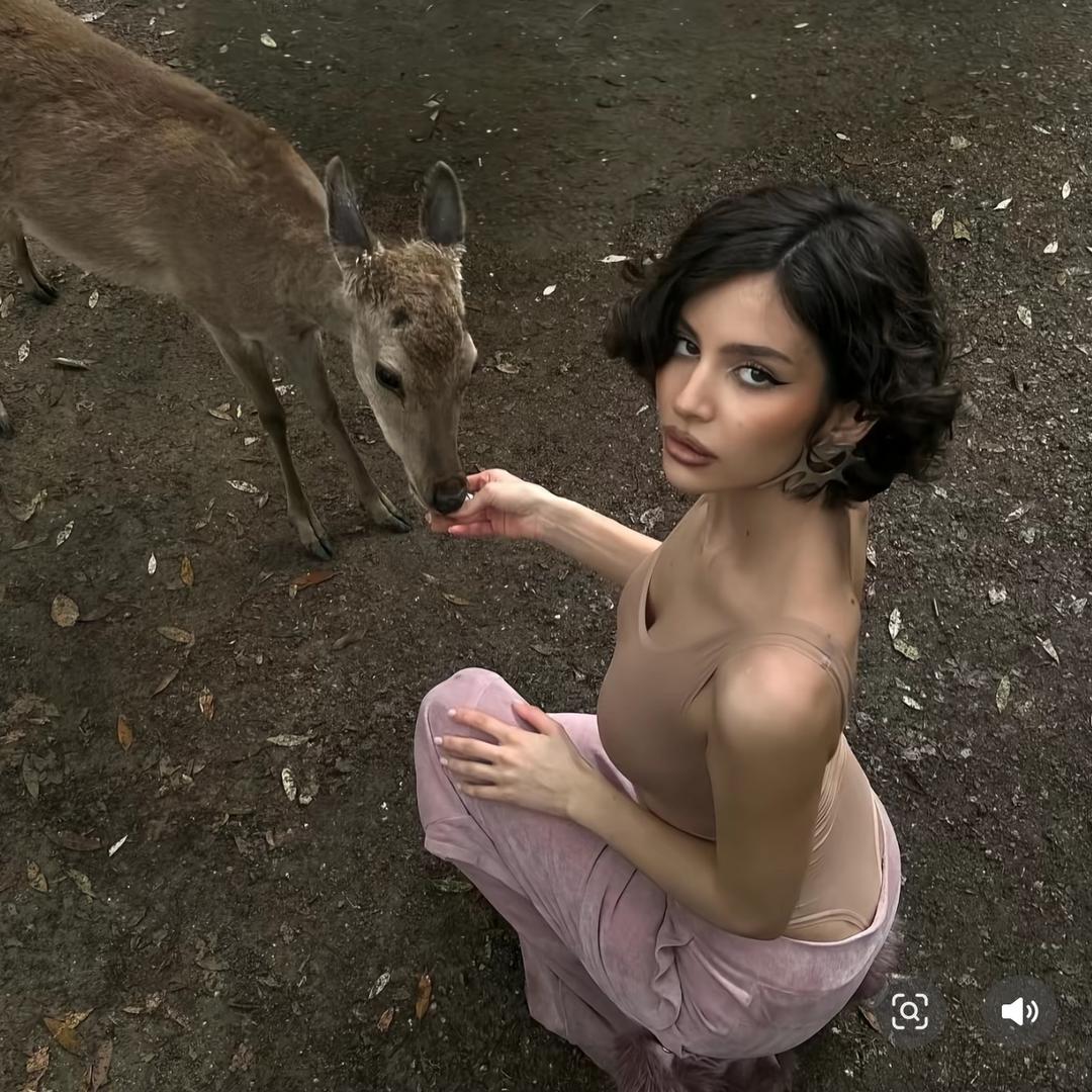 🌈_&安木兮不是奶