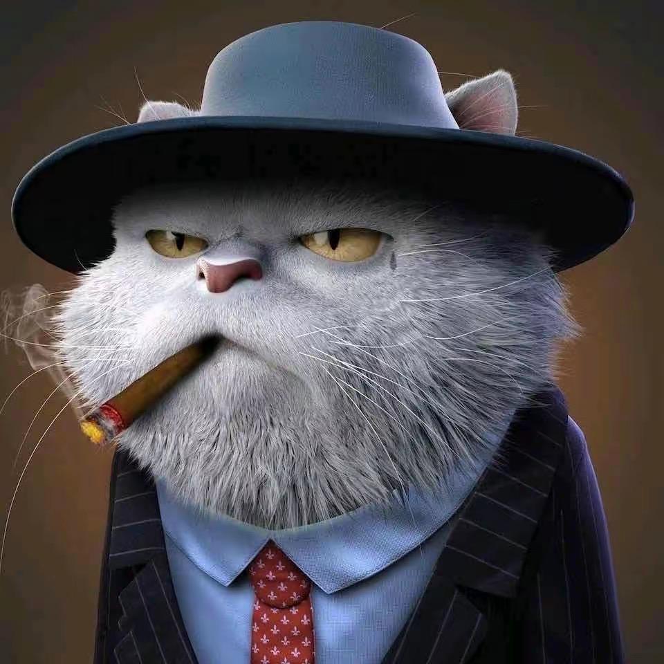 大猫x66