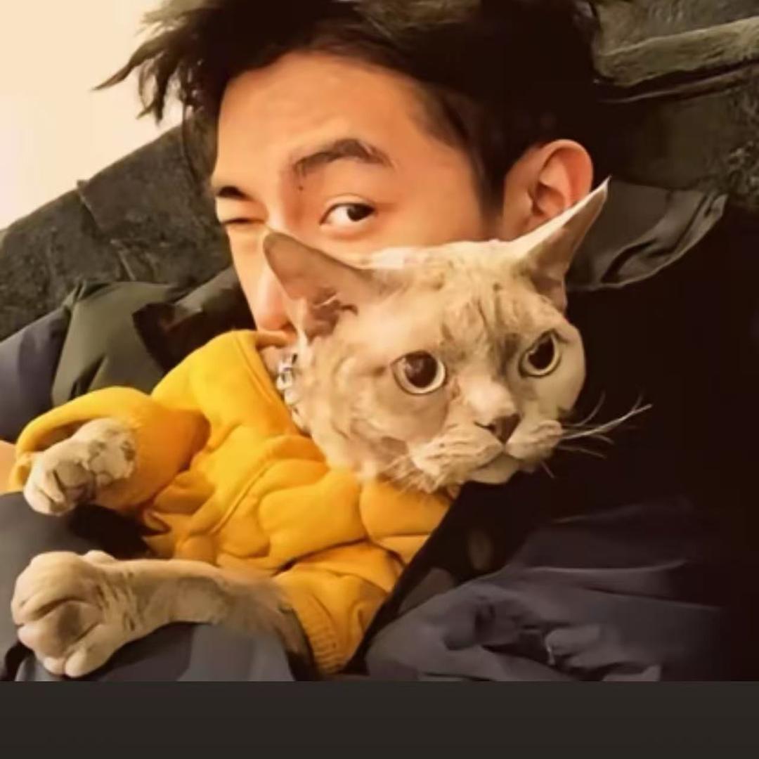 养鲸鱼