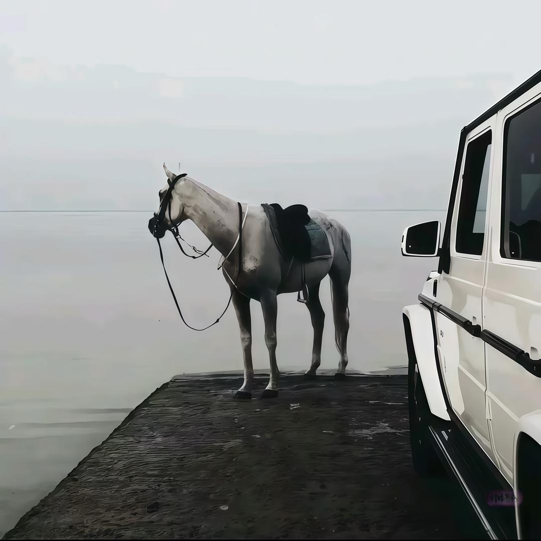 顾川