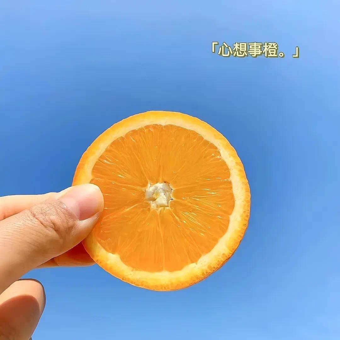 多多乐多多