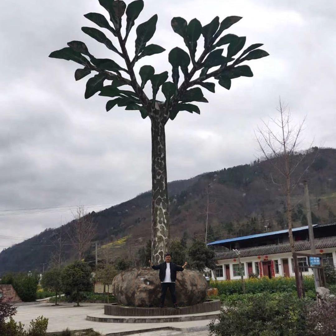 田园魔芋种植基地