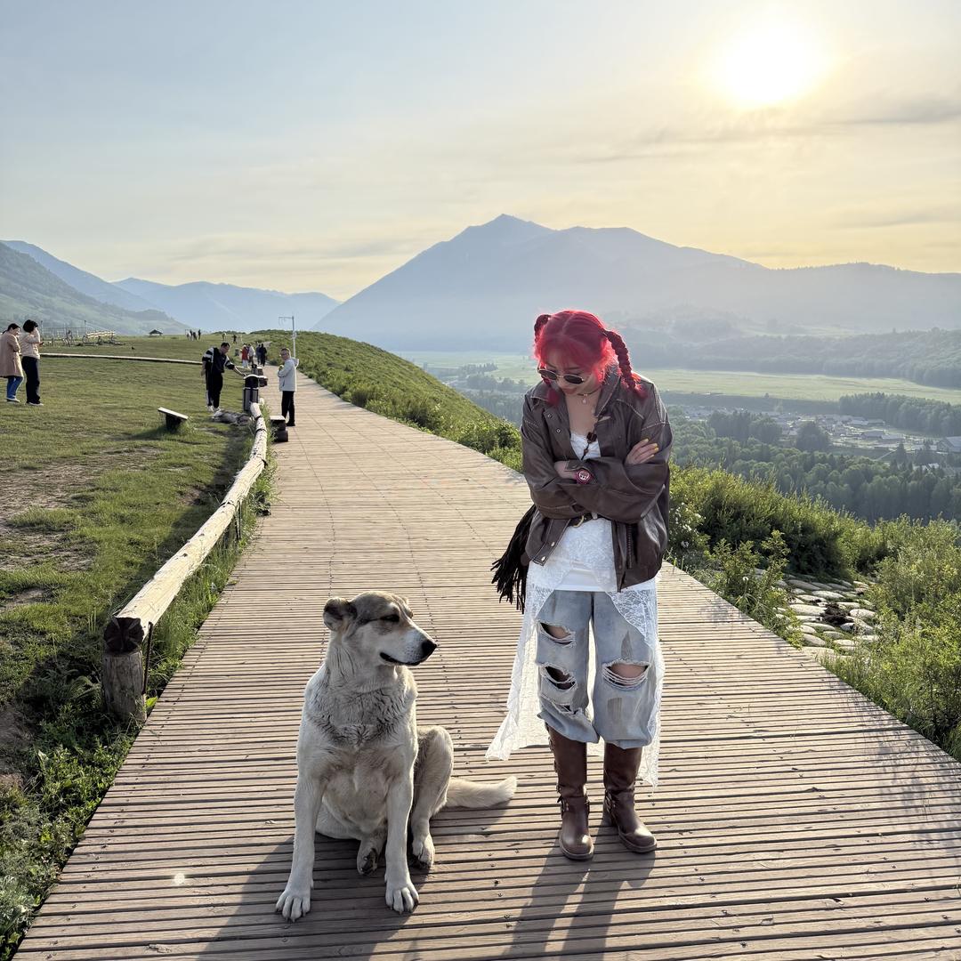 💚楊那个楊-🐑