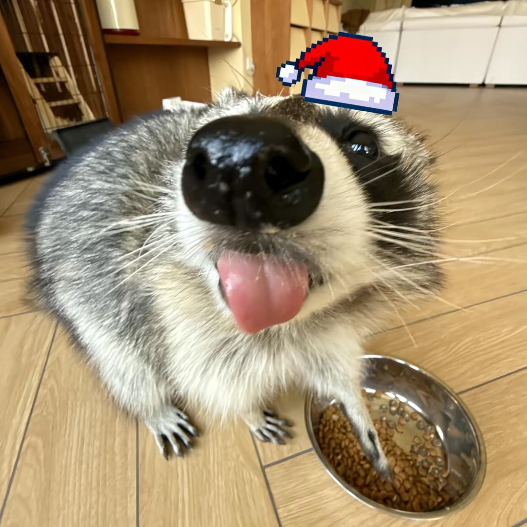 嘎᳐嘎大王᳐ ೨