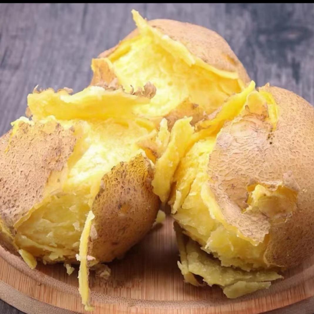 甘肃定西土豆姐