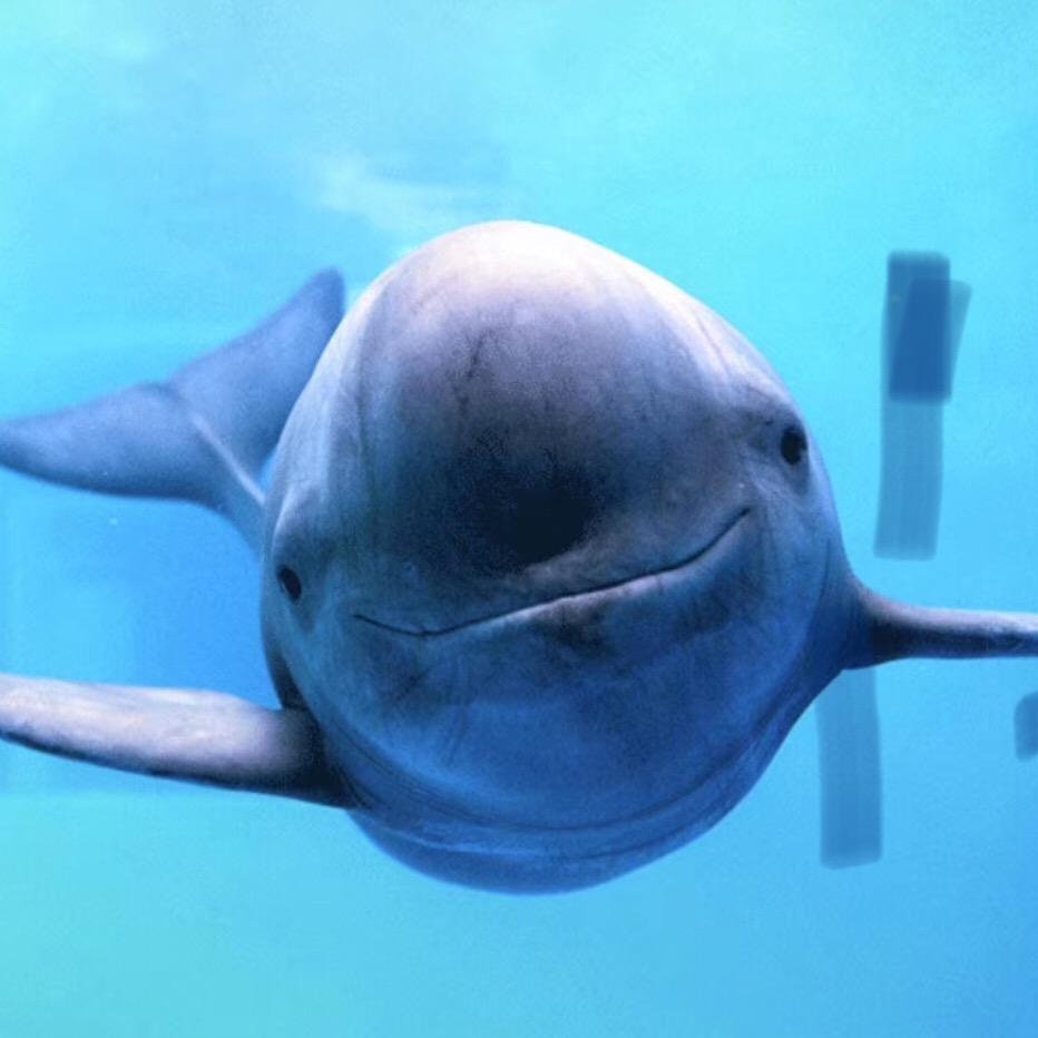 浩瀚