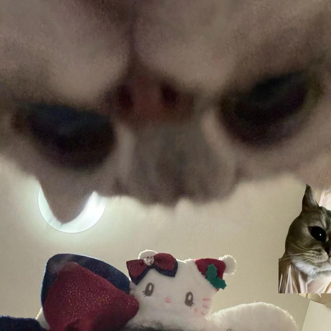 你