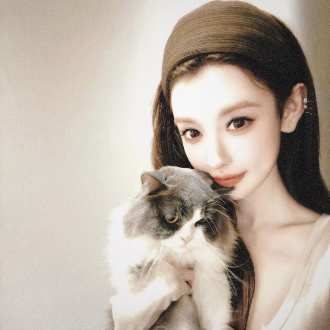 羊儿