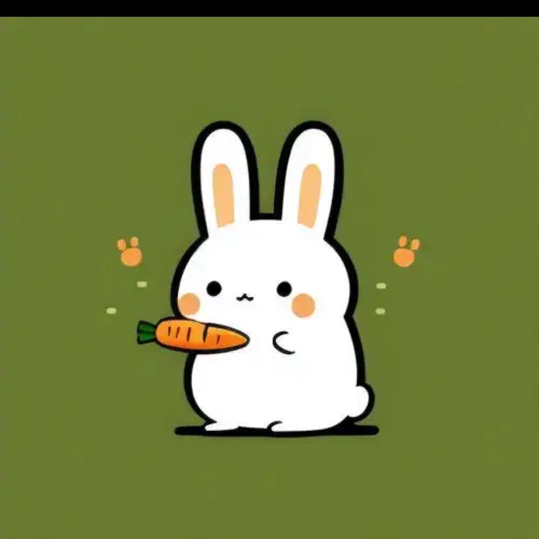 小兔子乖乖🐰