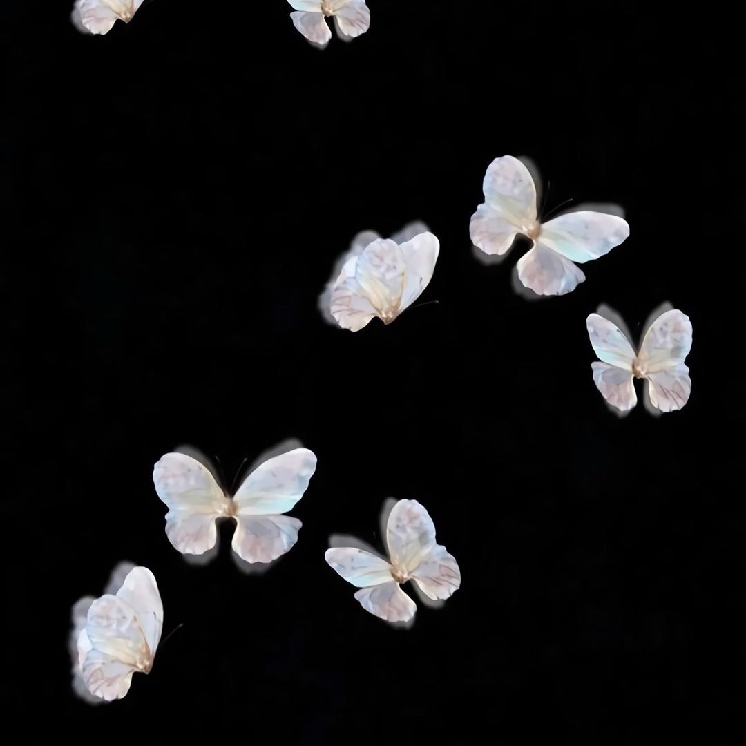 芙啊芙啊