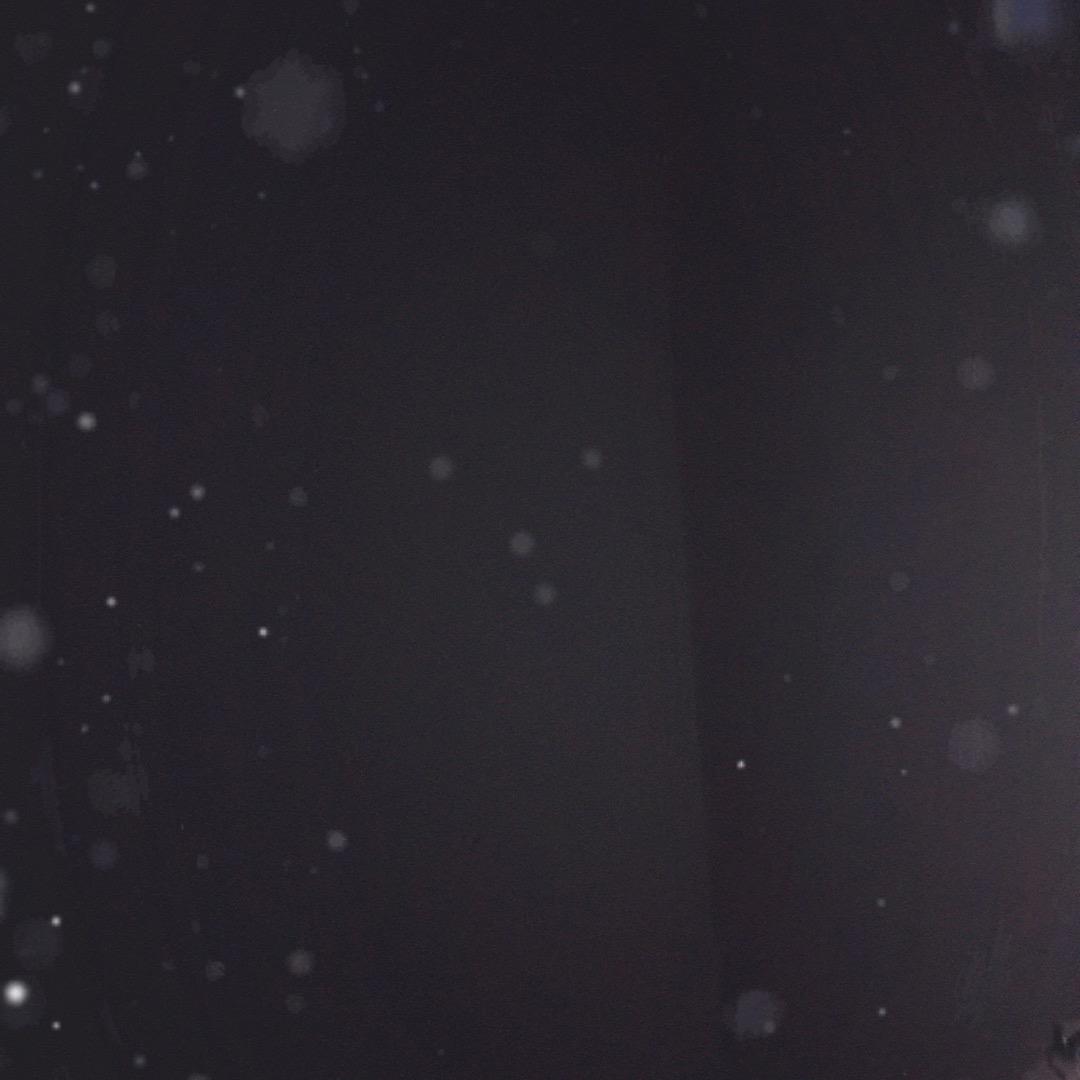 便利侠回收—辰哥