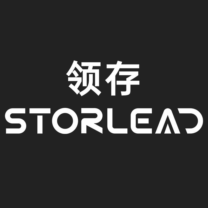 领存广东存储专卖店