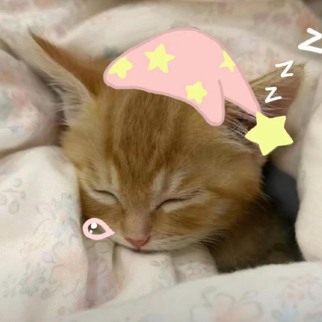 面包