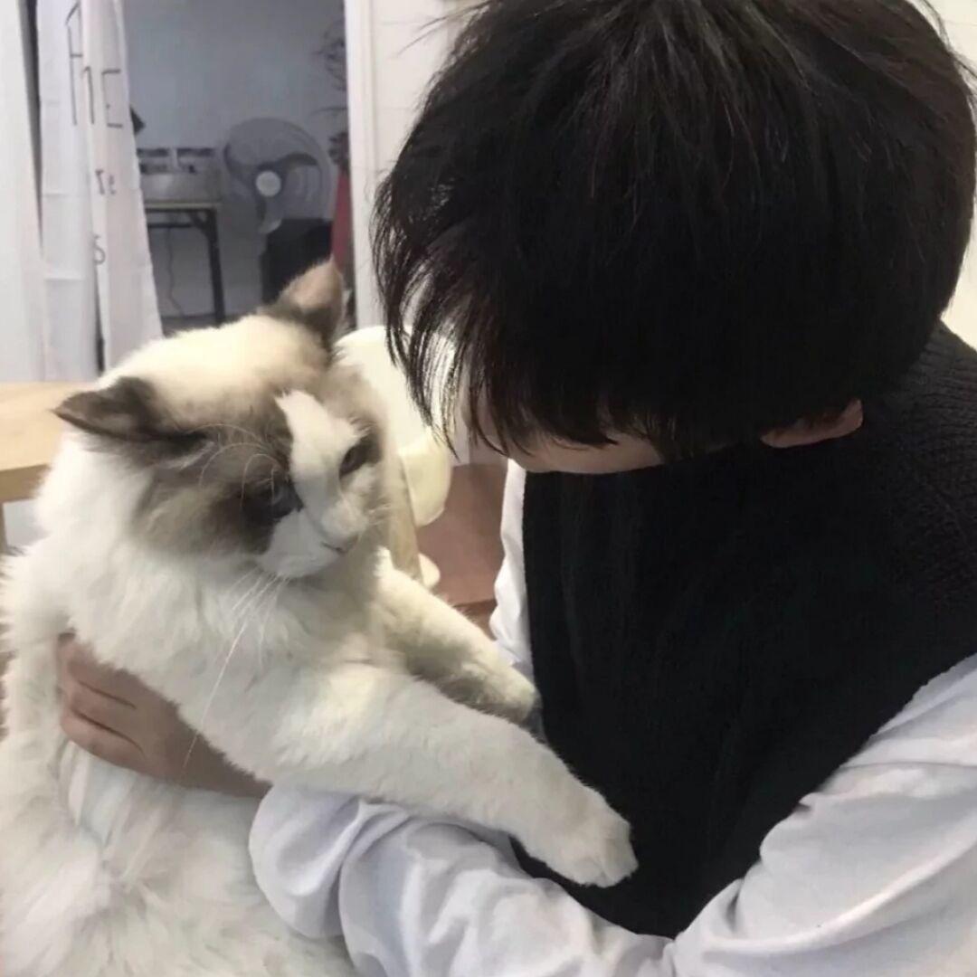 好8