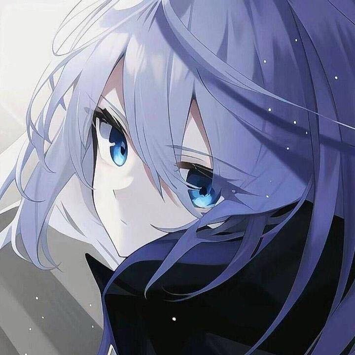 枫枫（国一老虎）