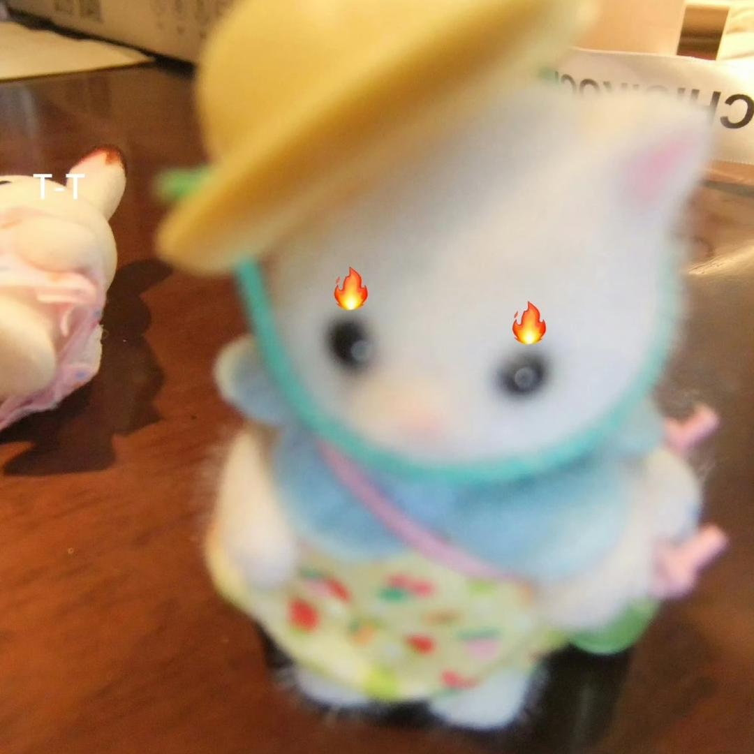 阿七探险家