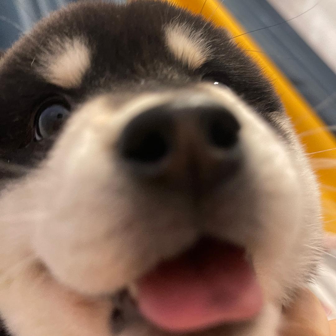 睡觉的时候不困