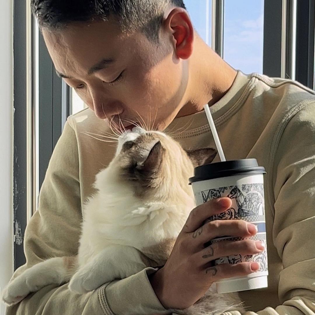 大猫家の宠物