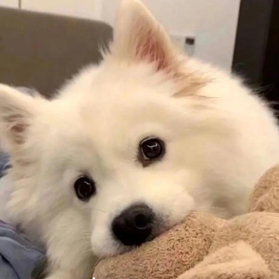 💦 凉白开 /•᷅•᷄\୭