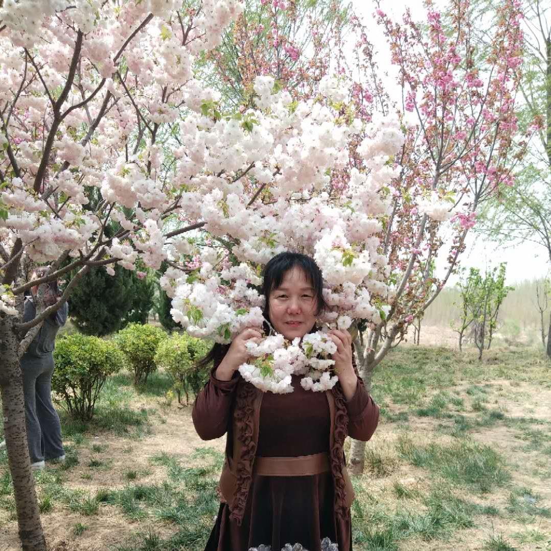十人十多张建芳