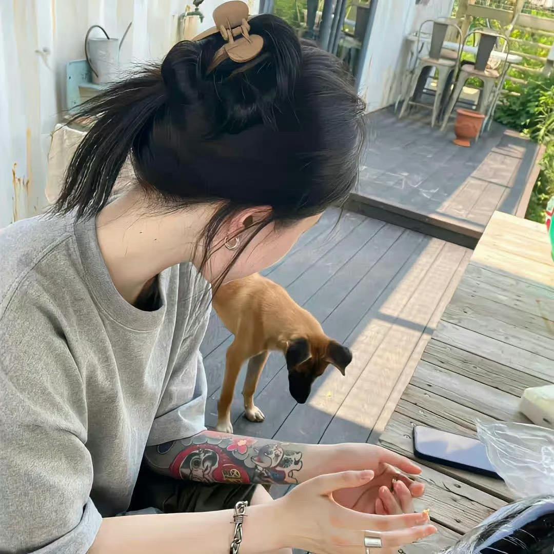 兰州新能源汽车