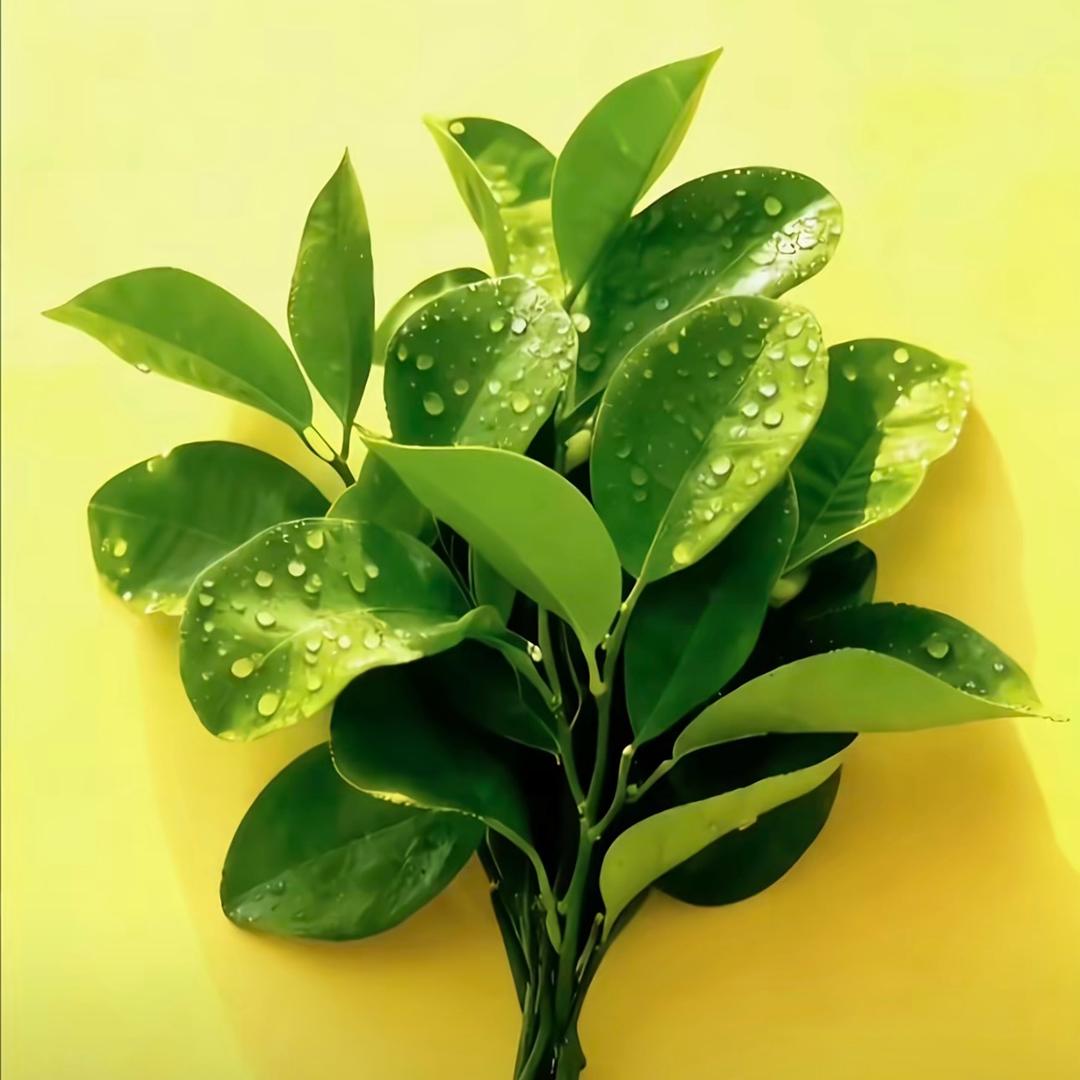 心情好一切都好