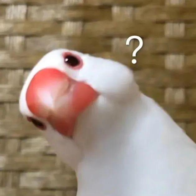 我真坠了