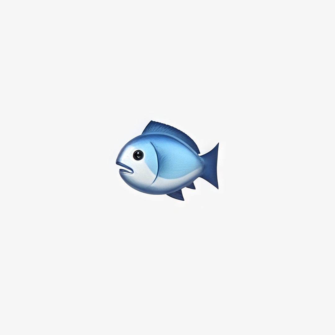 小鱼