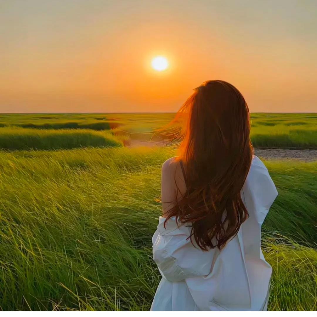 广州十三行妞妞大码女装