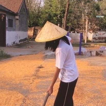 甜甜小猫🐈