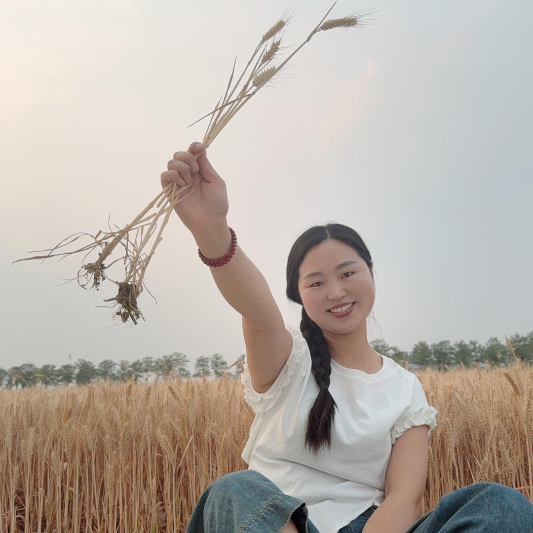 盼盼殷庙