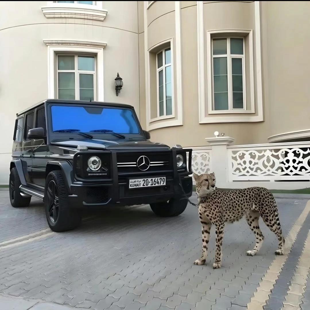 小浩说车