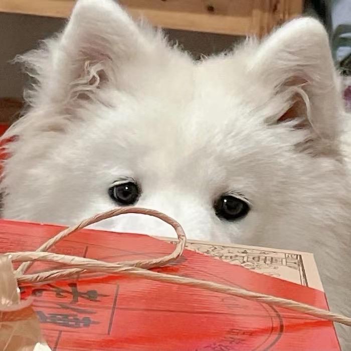 灵云