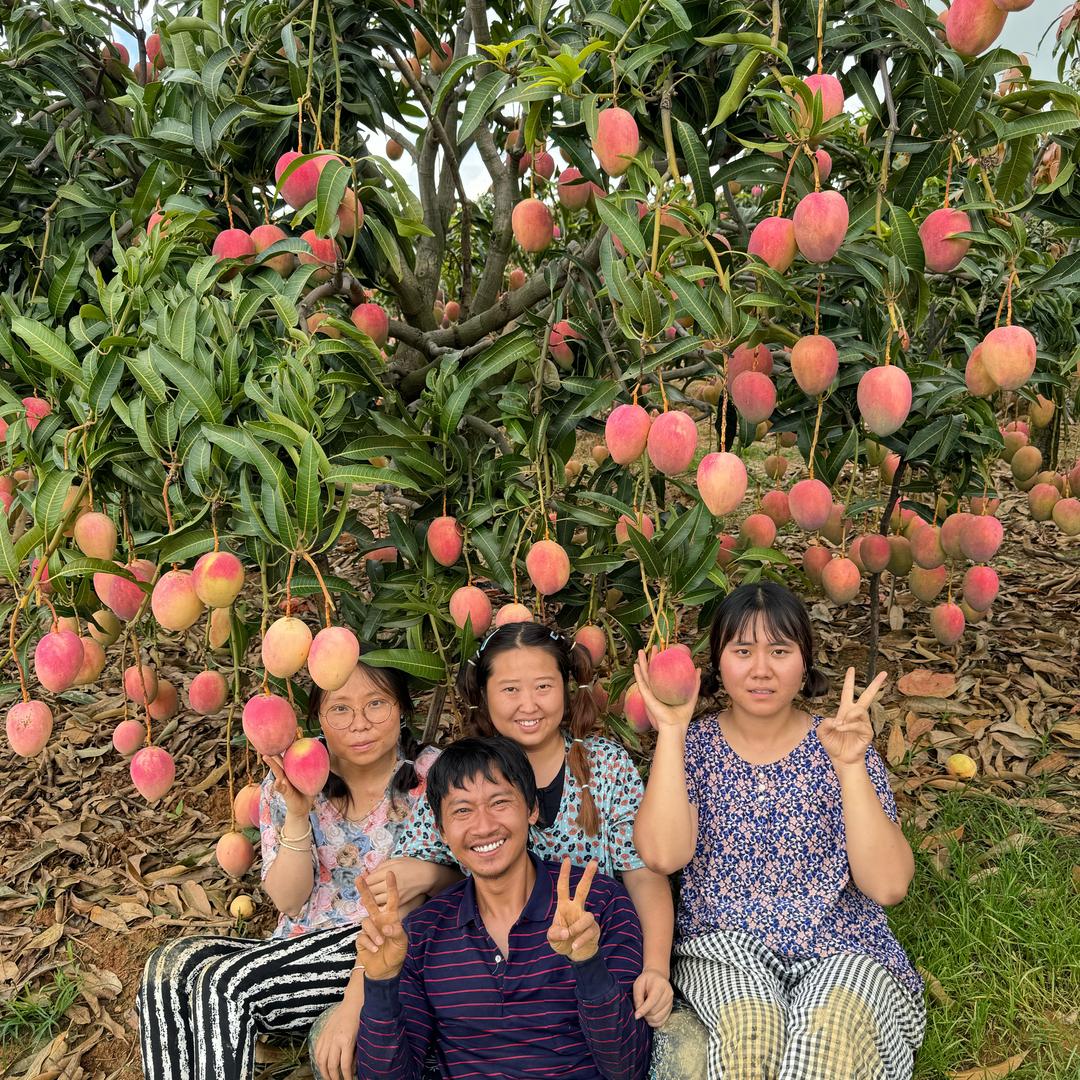 琪琪家的芒果😜ོ