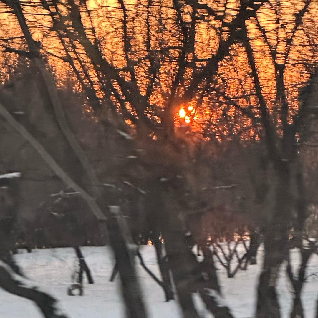 小乖.