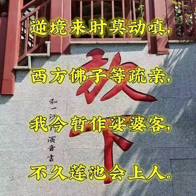 净殊.