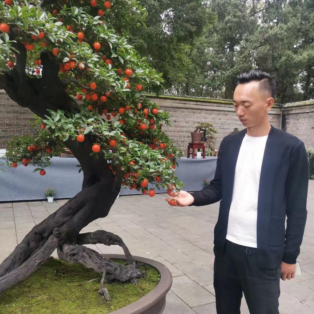 天珠金弹子徐小刚