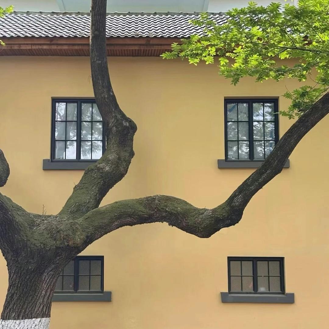 哦是一样如影随形