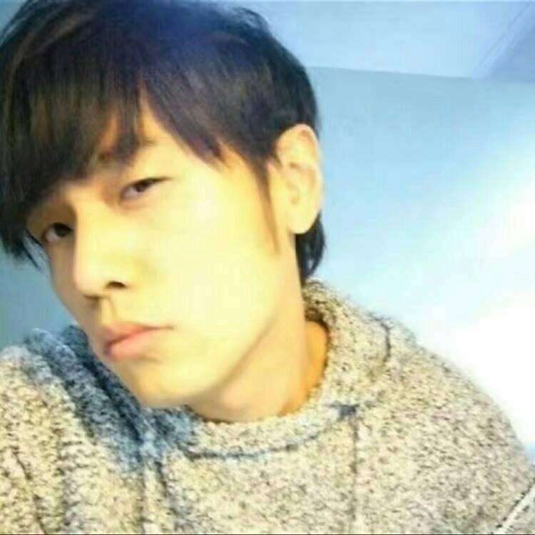 LM老麦