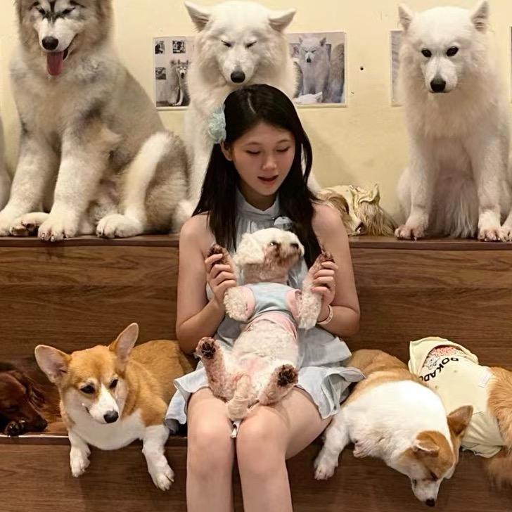 小鱼卖萌被扇