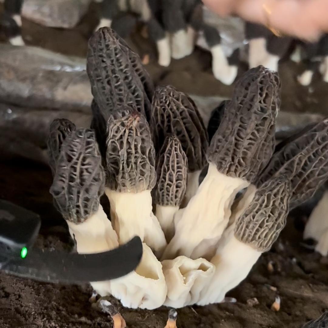 商场福利促销
