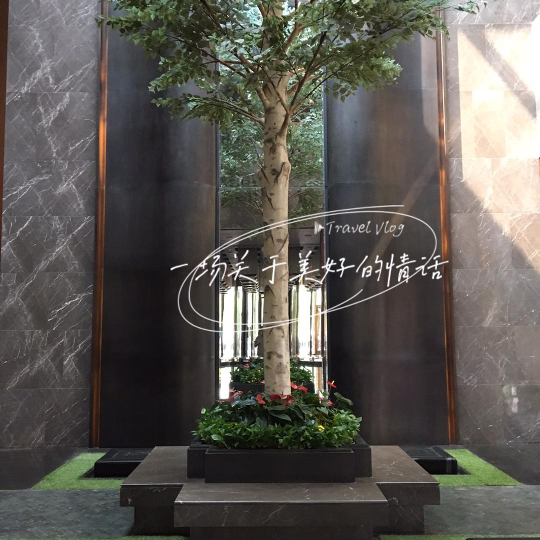 和玺钰修习能量，迎回幸福