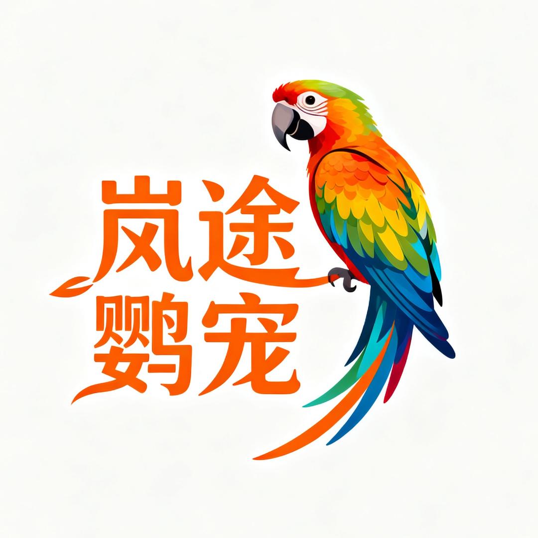岚途鹦宠(小闫养鹦鹉)