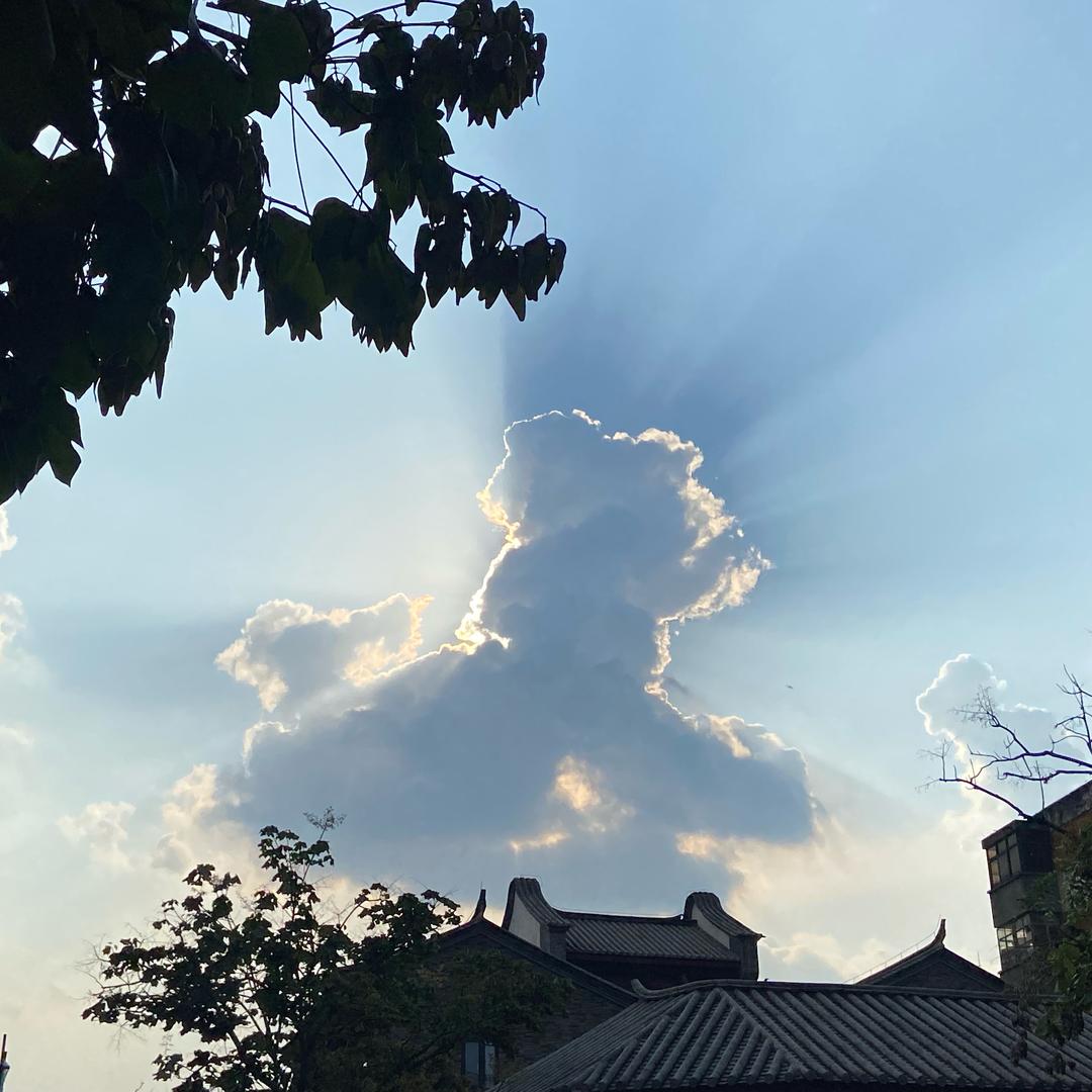 黄小蟹童鞋