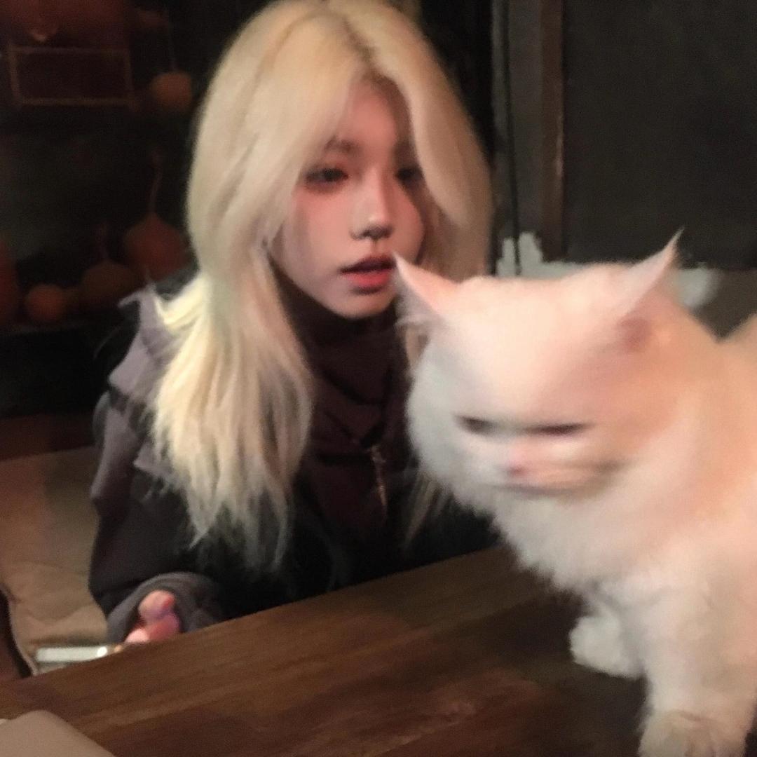 小猫心不碎